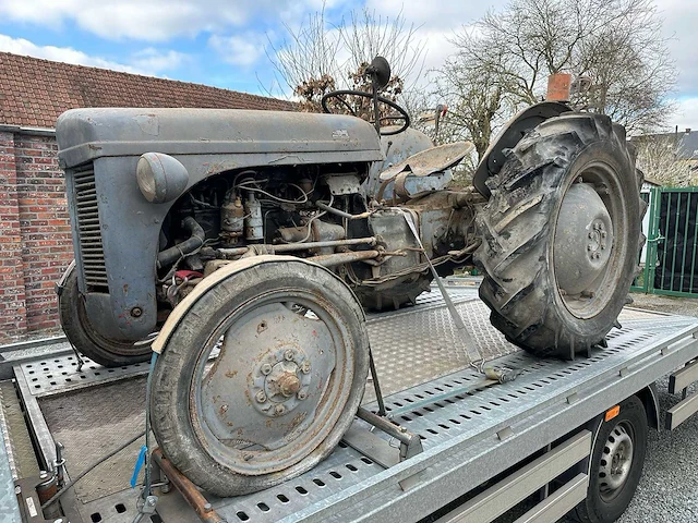 1955 - ferguson - oldtimer tractor - afbeelding 11 van  14