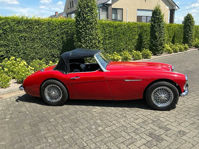 1959 austin-healey 3000 mark 1 oldtimer - afbeelding 61 van  61