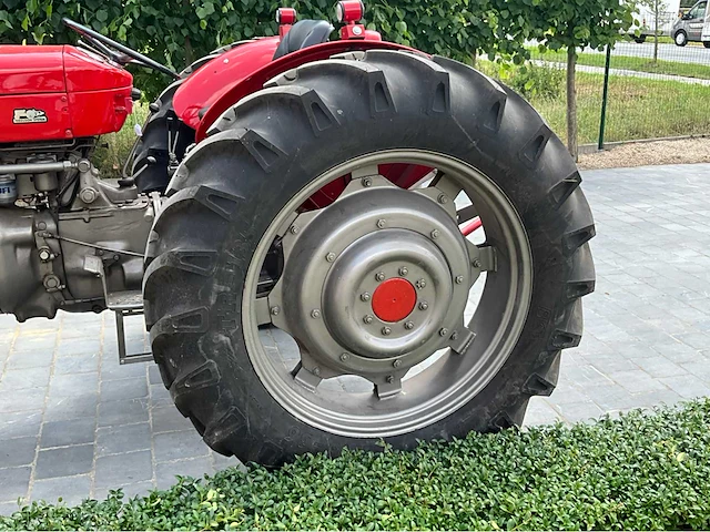 1964 massey ferguson oldtimer tractor - afbeelding 2 van  33