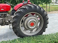 1964 massey ferguson oldtimer tractor - afbeelding 2 van  33