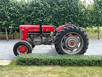 1964 massey ferguson oldtimer tractor - afbeelding 12 van  33