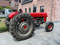 1964 massey ferguson oldtimer tractor - afbeelding 30 van  33