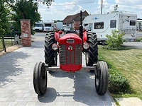 1964 massey ferguson oldtimer tractor - afbeelding 32 van  33