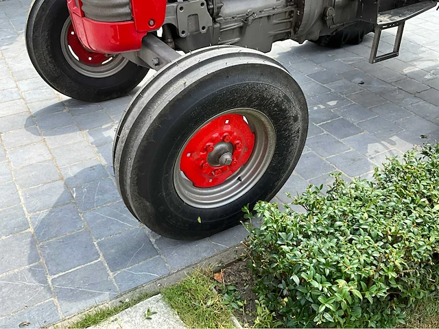 1964 massey ferguson oldtimer tractor - afbeelding 33 van  33