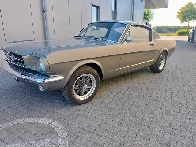 1965 ford mustang fastback oldtimer - afbeelding 1 van  14