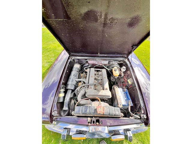 1975 alfa giulia super ancestors - afbeelding 10 van  23