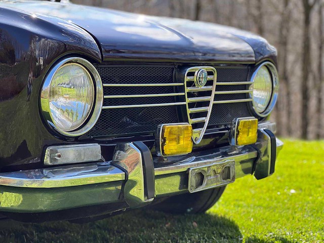 1975 alfa giulia super ancestors - afbeelding 12 van  23