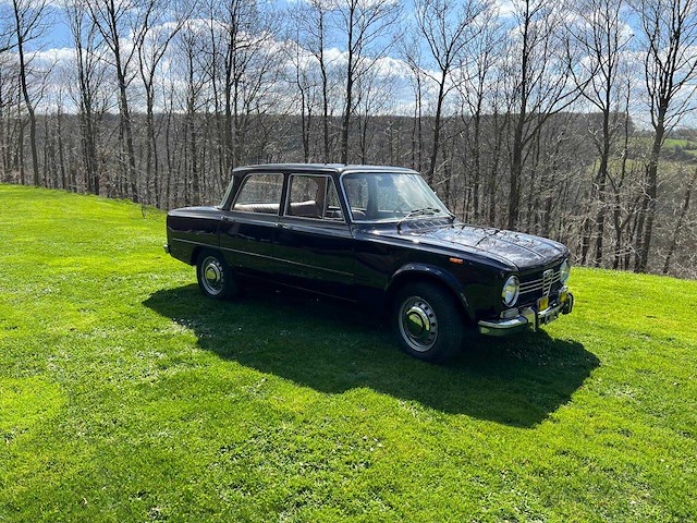 1975 alfa giulia super voorouders - afbeelding 1 van  23