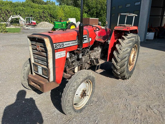 1977 massey ferguson mf 255 oldtimer tractor - afbeelding 1 van  8
