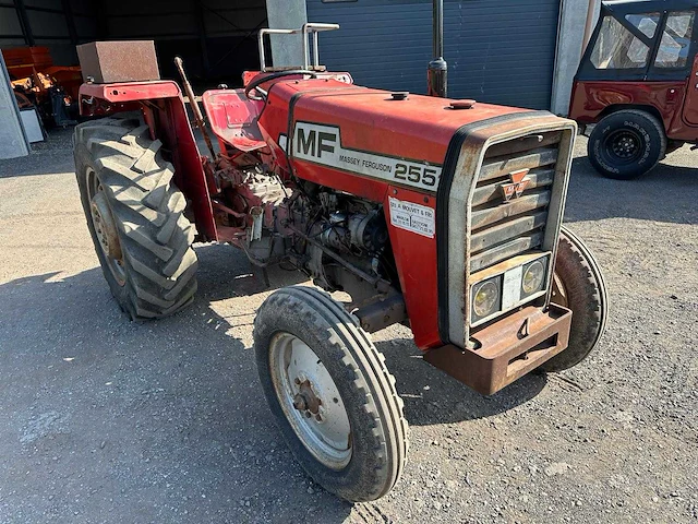 1977 massey ferguson mf 255 oldtimer tractor - afbeelding 2 van  8
