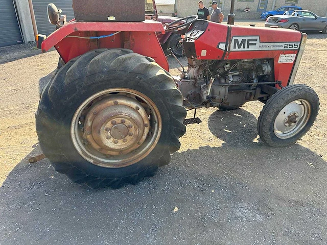 1977 massey ferguson mf 255 oldtimer tractor - afbeelding 3 van  8
