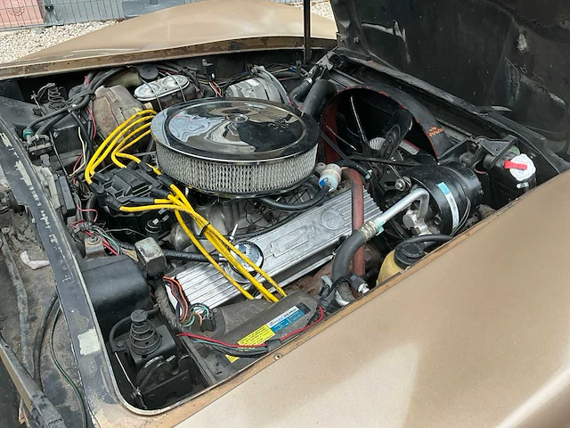 1980 chevrolette corvette c3(amper 7900km) - afbeelding 37 van  46
