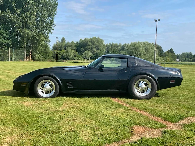 1981 chevrolet corvette oldtimer - afbeelding 12 van  54