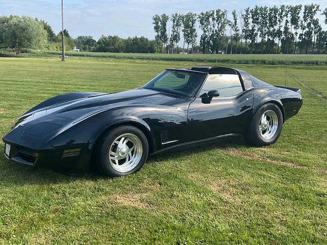 1981 chevrolet corvette oldtimer - afbeelding 24 van  54