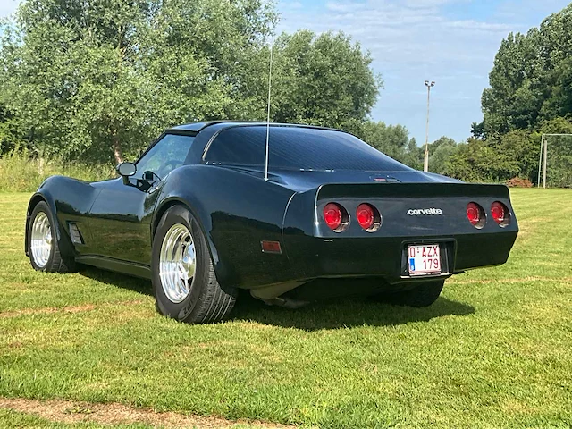 1981 chevrolet corvette oldtimer - afbeelding 23 van  54