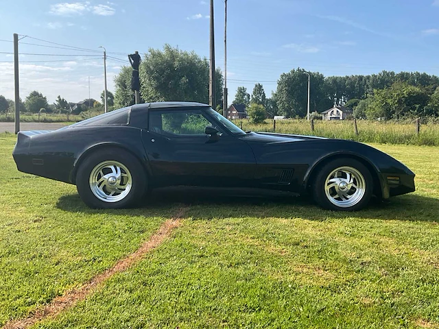 1981 chevrolet corvette oldtimer - afbeelding 51 van  54