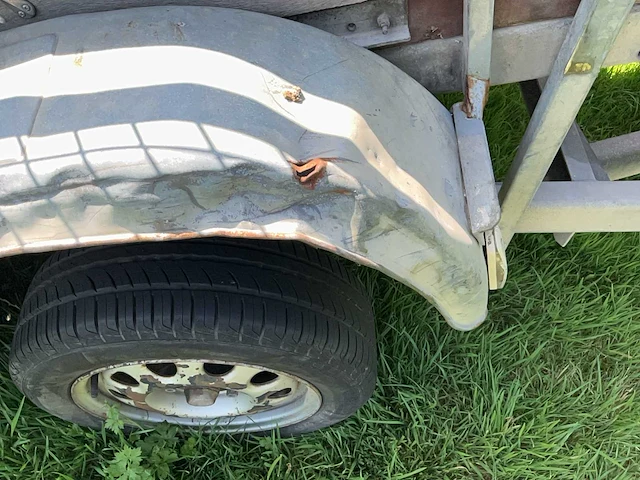 1991 bcw v4/817/8 - afbeelding 8 van  21