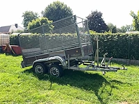 1991 bcw v4/817/8 - afbeelding 9 van  21