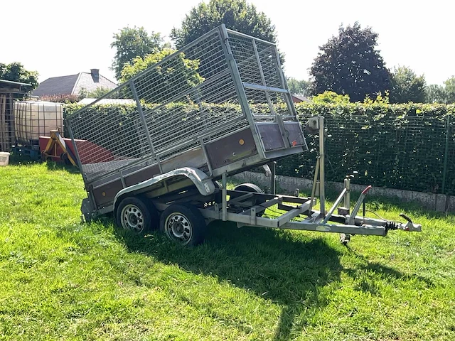 1991 bcw v4/817/8 - afbeelding 10 van  21