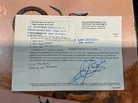 1992 saab 900 scarabee cabrio - afbeelding 46 van  52