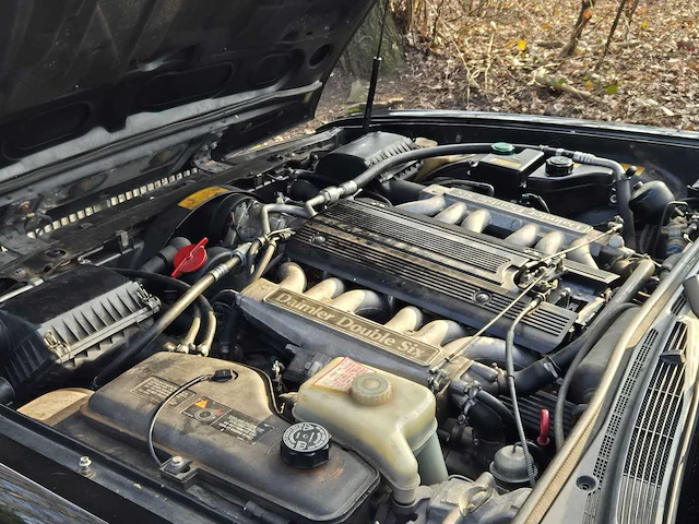 1993 daimler double six v12 oldtimer - afbeelding 16 van  45