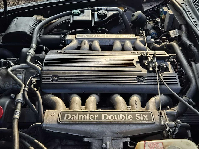 1993 daimler double six v12 oldtimer - afbeelding 19 van  45