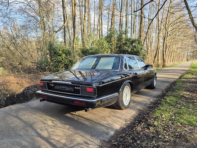 1993 daimler double six v12 oldtimer - afbeelding 43 van  45
