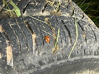 1999 weijers w-2000-b aanhangwagen - afbeelding 21 van  33