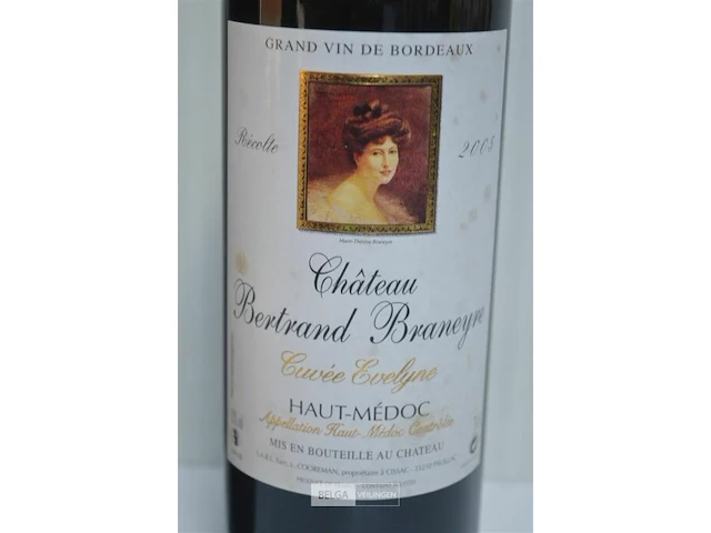19x12 château béard - louis fabre - château bertrand braneyre - afbeelding 4 van  5
