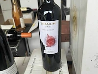 1x 1 doos teanum nero di troia 2011 - afbeelding 1 van  5