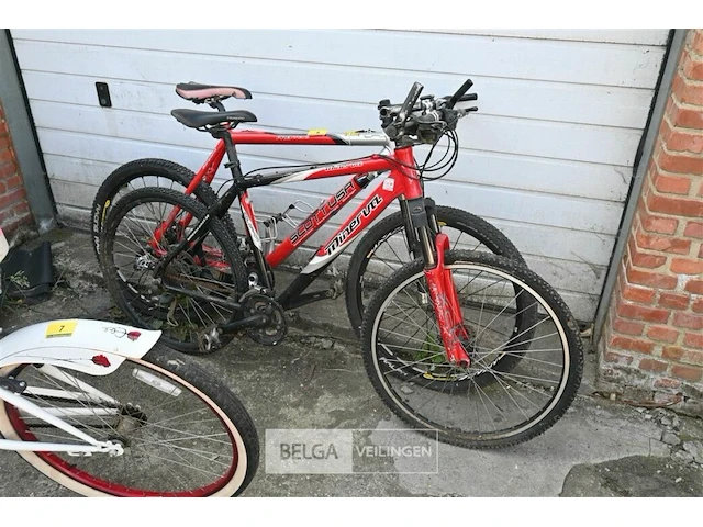 1x mtb scott + 1x minerva - afbeelding 1 van  2