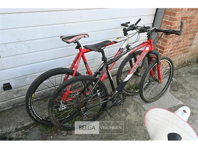 1x mtb scott + 1x minerva - afbeelding 2 van  2
