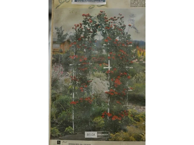 1x rozenboog voor in de tuin h 100 cm - afbeelding 2 van  3