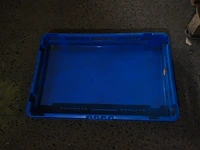 2 blauwe diepe, 1 halfdiepe en 1 platte stapelbakken - afbeelding 2 van  2