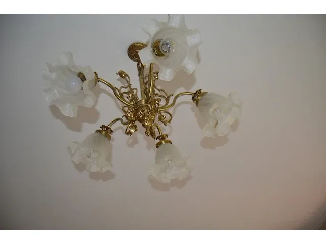 2 bronkleurige luster 12 lichtpunten, 2 goudkleurige lusters glazen kapjes 6 lichtpunten, ronde luster 1 lichtpunt, goudkleurige luster 5 lichtpunten glazen kapjes - afbeelding 5 van  12