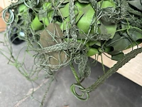 2 camouflagenetten - afbeelding 3 van  3