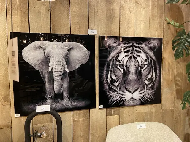 2 decoratieve foto's - afbeelding 1 van  3