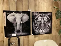 2 decoratieve foto's - afbeelding 1 van  3