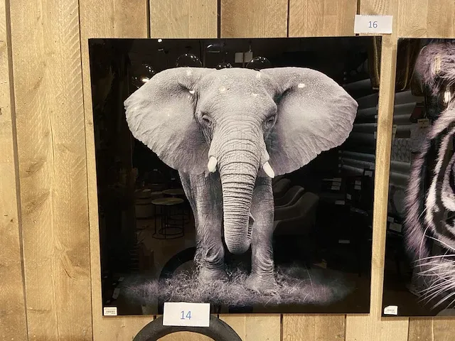 2 decoratieve foto's - afbeelding 2 van  3