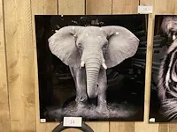 2 decoratieve foto's - afbeelding 2 van  3
