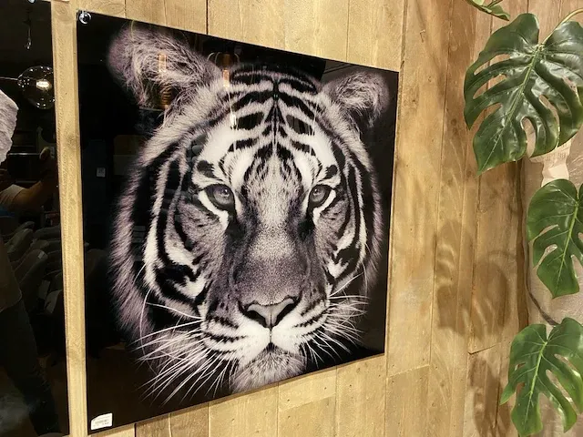 2 decoratieve foto's - afbeelding 3 van  3