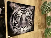 2 decoratieve foto's - afbeelding 3 van  3