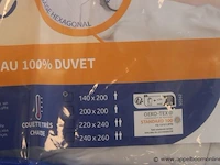 2 dekbedden bleu calin 140x200 - afbeelding 2 van  2