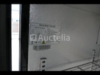 2-deurs gekoelde vitrine back bar cooler bb2