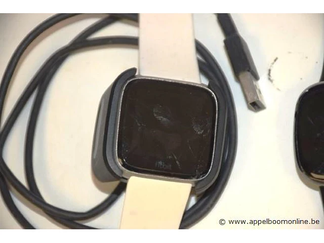 2 div activity watches fitbit, wo zonder kabel, werking niet gekend - afbeelding 2 van  3