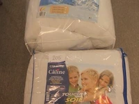 2 diverse donsdekens wo 200x220 - afbeelding 1 van  3