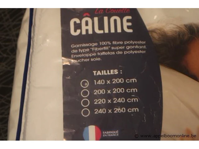 2 donsdekens caline 140x200 - afbeelding 2 van  2