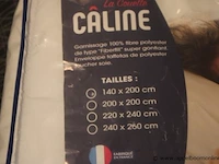 2 donsdekens caline 140x200 - afbeelding 2 van  2