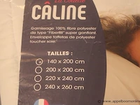 2 donsdekens caline 140x200 - afbeelding 2 van  2