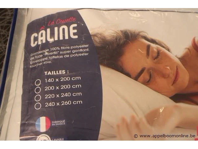 2 donsdekens caline 140x200 - afbeelding 2 van  2